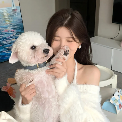 王牌保镖之疾速追击